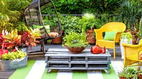 Kết bất ngờ của vợ chồng nữ đại gia 'chân đất' Hải Dương