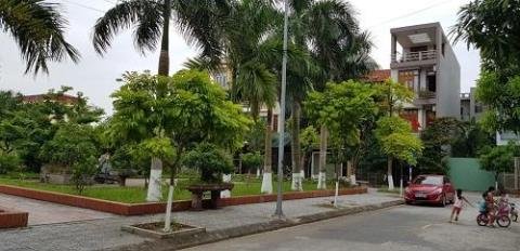 Thiếu nữ nghi bị hại đời ngất xỉu: Gia đình phủ nhận
