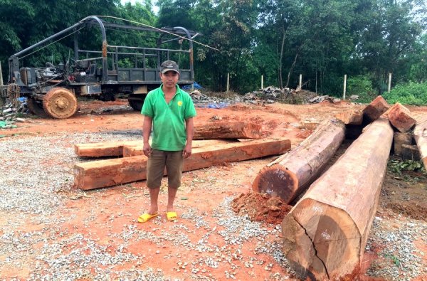 Bắt giữ đối tượng vận chuyển gỗ trái phép