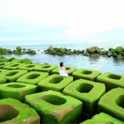 Điểm mặt chỉ tên những homestay Phú Yên rẻ – đẹp – gần biển