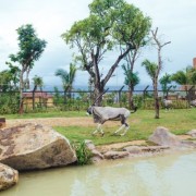 Công viên trên sông bảo tồn hơn 42.000 động vật hoang dã tại Quảng Nam