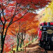 7 Trải Nghiệm Tại Nhật Bản Chỉ Có Vào Mùa Thu