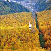Hướng dẫn chi tiết đi chiêm ngưỡng lá phong Hokkaido
