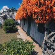 'Ngôi Nhà Phủ Hoa' tại Núi Rừng Bảo Lộc bạn đã checkin ở đây chưa ?