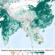 Ô nhiễm đứng đầu thế giới nhưng Ấn Độ và Trung Quốc lại đang làm Trái đất xanh hơn