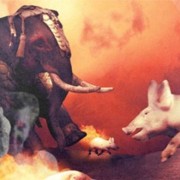 Quái chiêu biến lợn thành vũ khí hủy diệt cực hiểm thời xưa