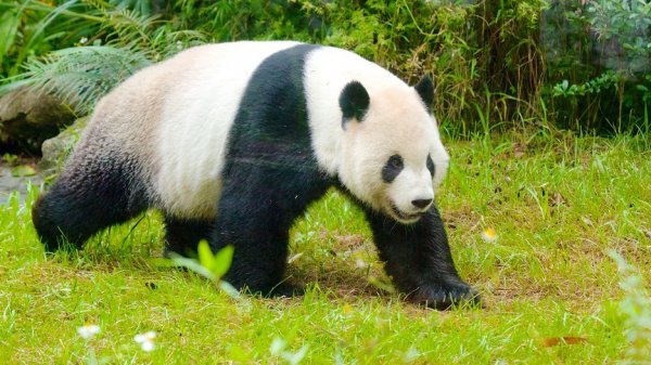 Đài Bắc với 16 điểm đến không thể bỏ qua (Phần 2)