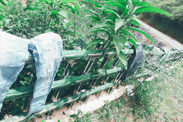 Một ngày chinh phục cung đường đèo hiểm trở bậc nhất Việt Nam - Mã Pí Lèng