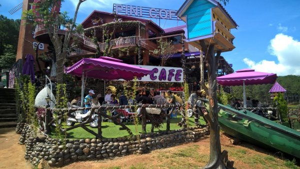 Pini Coffee Hồi Sinh Từ Biển Lửa