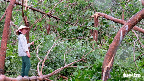 Tìm cách sửa sai giấc mộng 'Bắc tiến' cho vàng trắng