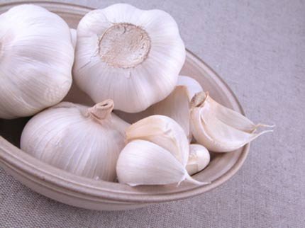 Xử trí côn trùng đốt