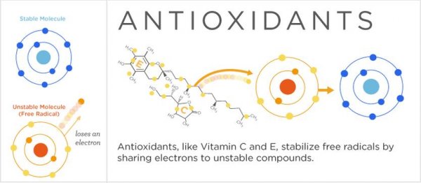 Chất chống oxy hóa và vai trò vô cùng quan trọng với sức khỏe con người