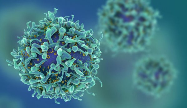 Nhóm nhà khoa học Israel tuyên bố sẽ chữa được ung thư trong 1 năm nữa