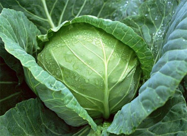 4 loại rau quả là "thần dược" chống ung thư, người Việt chớ coi thường