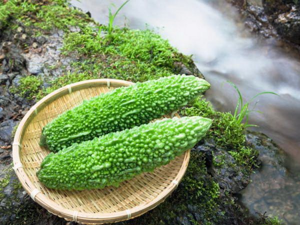 Các loại thực phẩm đắng nhưng tốt cho sức khỏe