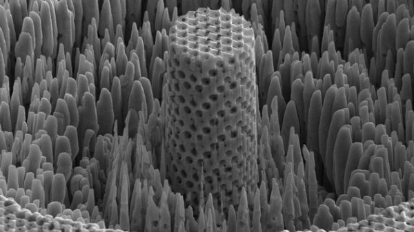 “Gỗ kim loại” làm từ niken: Cứng như titan, nhưng nhẹ hơn 5 lần