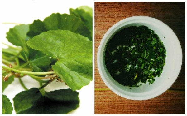 Mỹ phẩm đắt tiền đến mấy cũng không làm trắng da bằng loại rau bán đầy rẫy ngoài chợ này