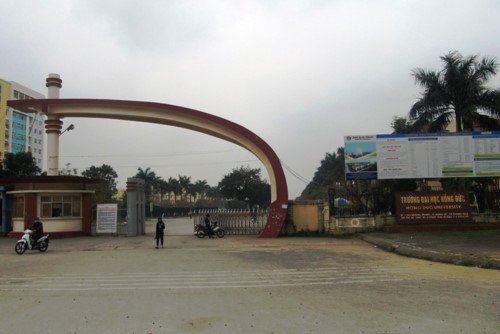 Vì sao sinh viên sư phạm Trường ĐH Hồng Đức (Thanh Hóa) không nhận được học bổng?