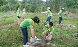 Triển lãm cốc giấy 'kêu cứu vì hành tinh' tại một quán cà phê ở Anh