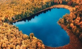 Hồ tử thần biến các loài sinh vật ghé đến thành tượng sống