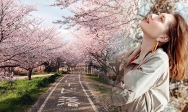 Nhà hàng Việt Nam lọt top 7 công trình bằng tre độc đáo thế giới