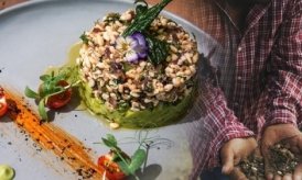 Loài cá có sừng như trong truyện cổ tích, nặng hơn một tấn